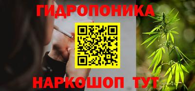a pvp Гагарин