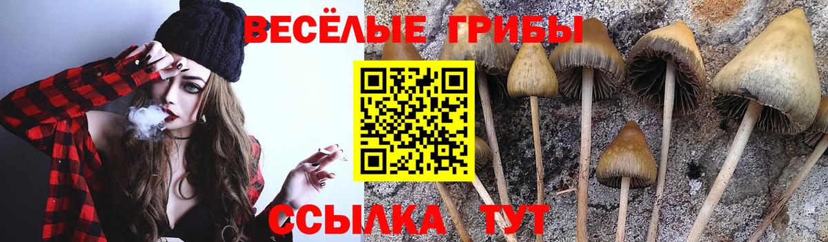 Псилоцибиновые грибы прущие грибы Жуковский